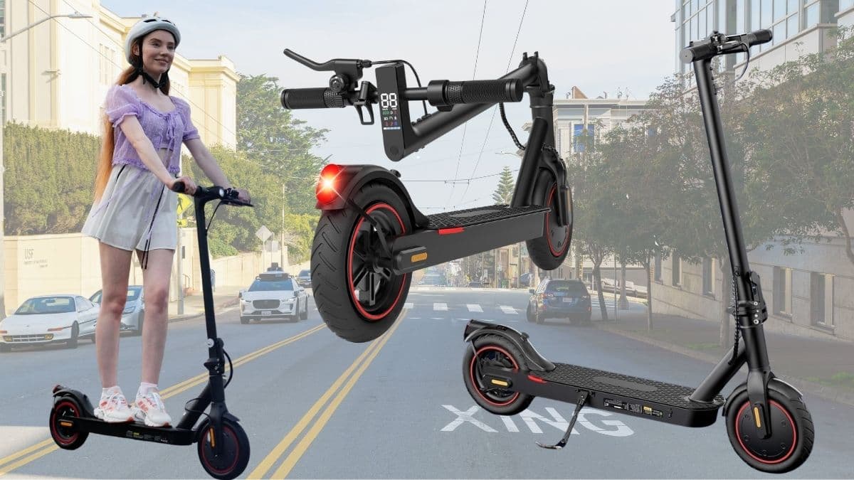 Electric Scooters - Electric Scooter Adults, 500W Motor