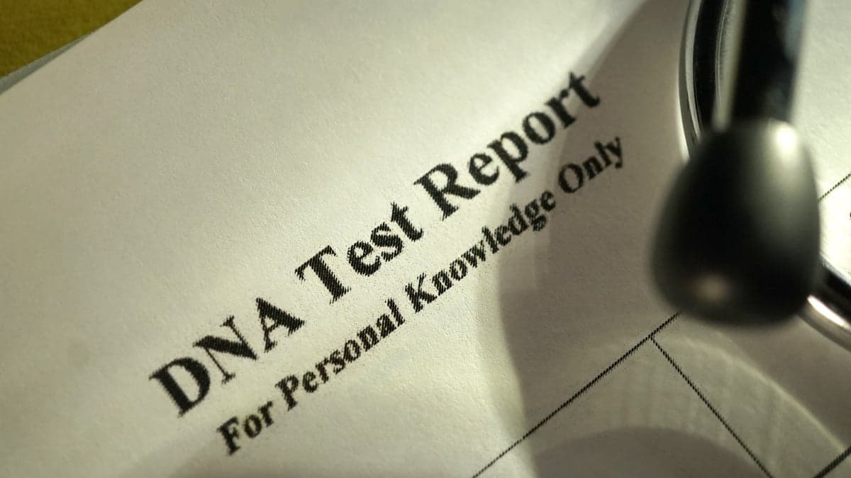 "Person reviewing DNA ancestry test results with family tree chart and genetic heritage map on a digital device."